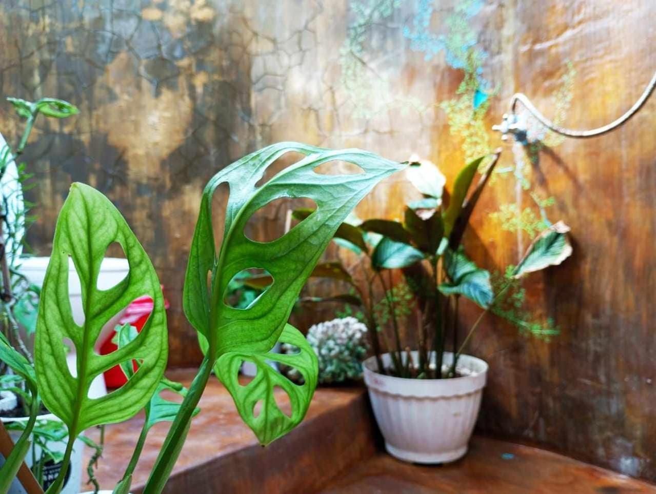 A Pousada Uncle Hippie'S Dream Ilhas Gili Exterior foto
