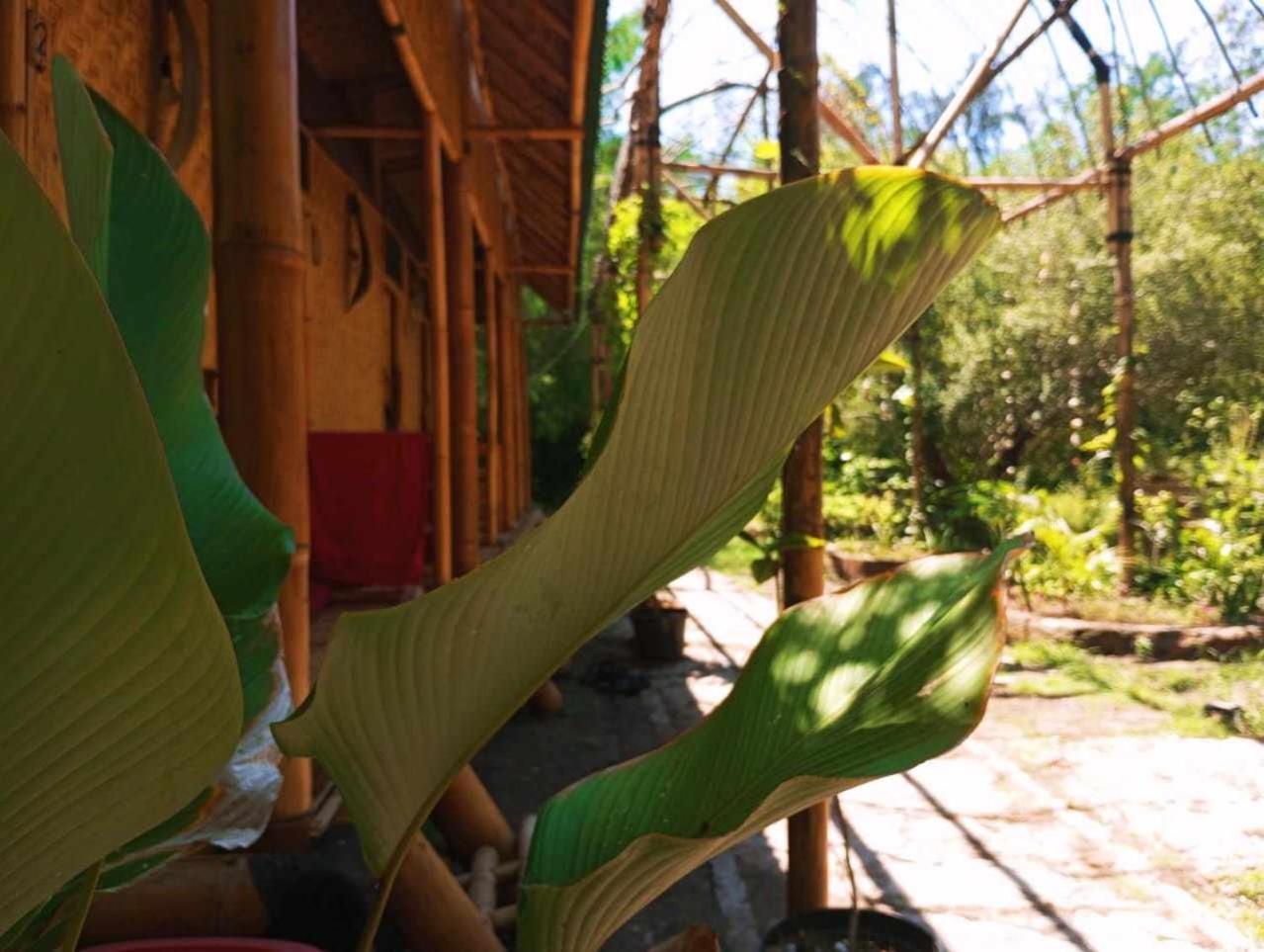A Pousada Uncle Hippie'S Dream Ilhas Gili Exterior foto